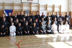 2014_08 Iaido seminar with Ogino sensei, Brtnice u Jihlavy