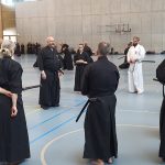 Iaido seminar