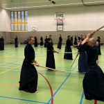 Džodo Koryu Seminar Ultrecht 2022