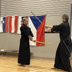 Kensei Iaido Seshin