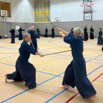 Jodo Koryu Seminar Utrecht 2023