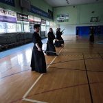 Iaido seminar Gliwice