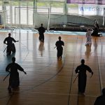 Iaido seminar Gliwice