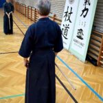 Jodo seminar Budapest