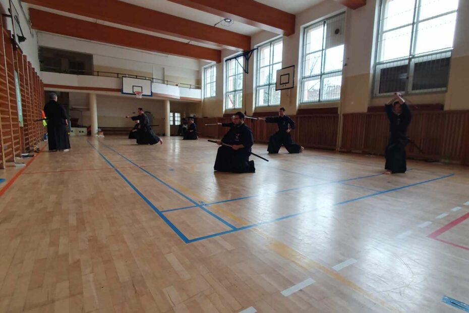Tamiya ryu seminar