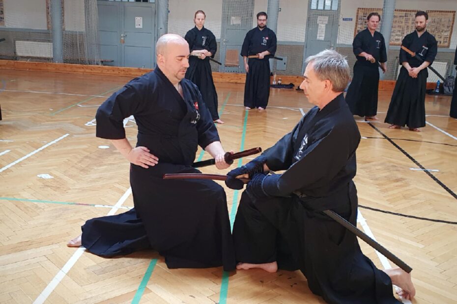 Tamiya Ryu Seminar Budapest