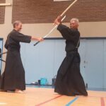 Tamiya Ryu seminar Belgium