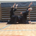 Tamiya Ryu seminar Belgium