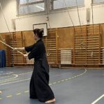 Jodo seminar Budapest