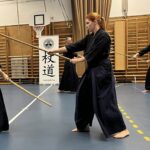 Jodo seminar Budapest