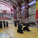 Tamiya ryu seminar in Bucharest