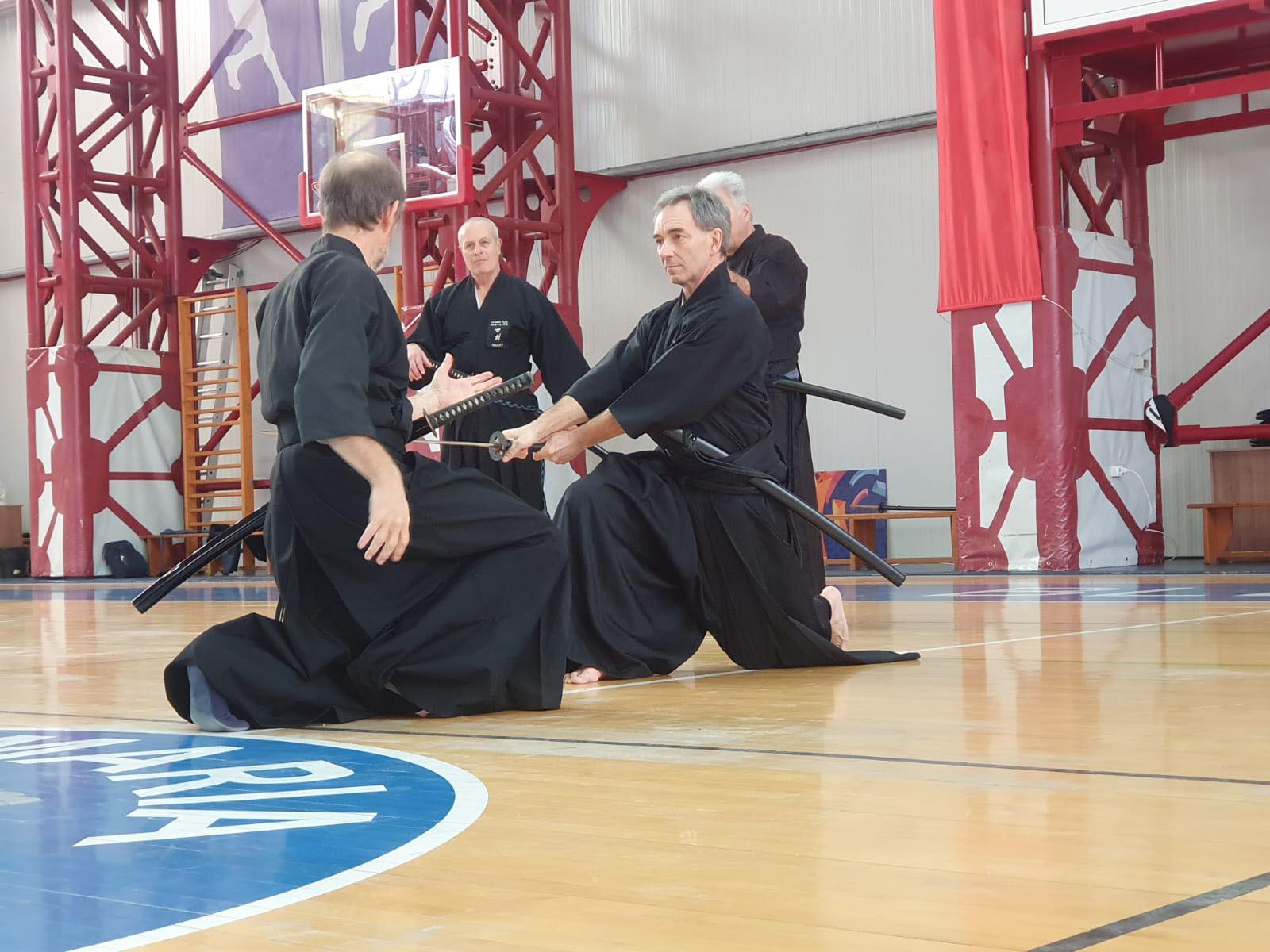 Tamiya ryu seminar in Bucharest