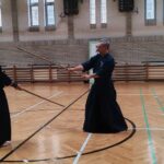 Jodo seminar in Budapest